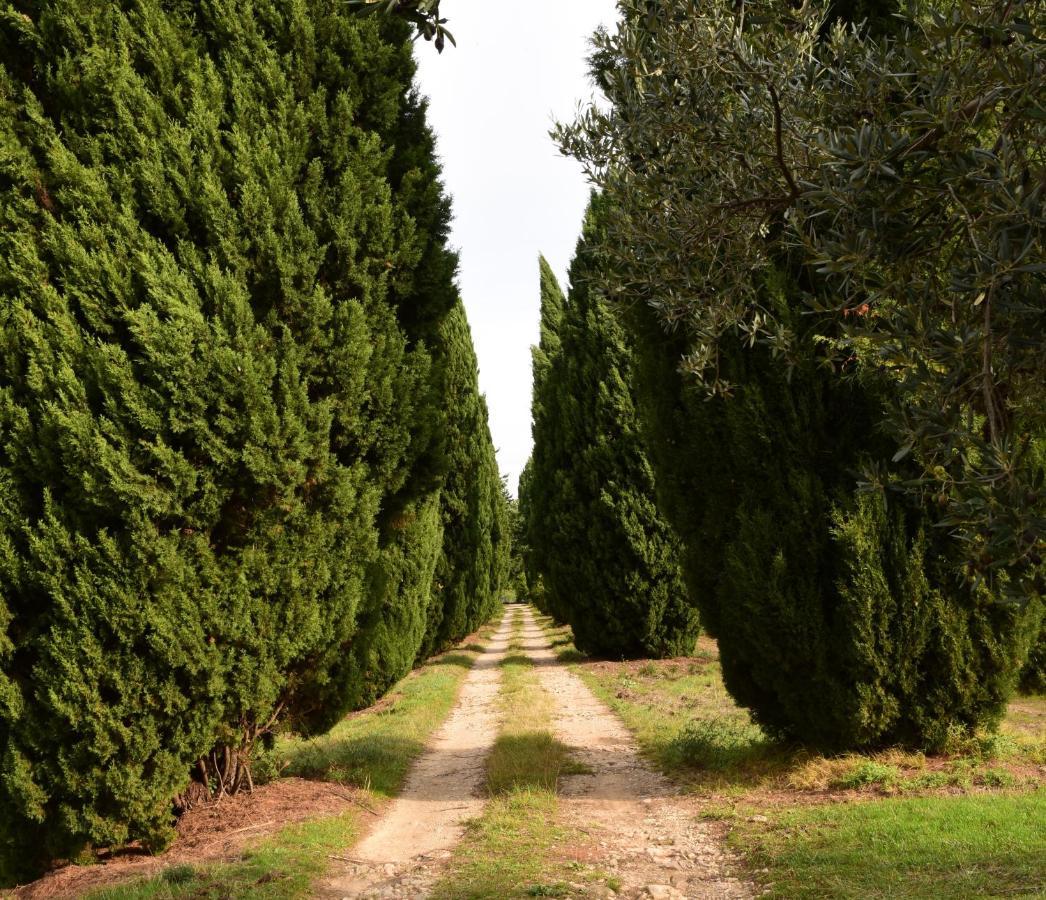 Chateau Saint-Esprit Bed and Breakfast Draguignan Zewnętrze zdjęcie