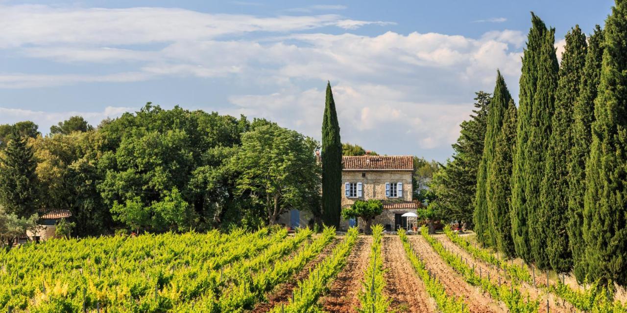 Chateau Saint-Esprit Bed and Breakfast Draguignan Zewnętrze zdjęcie